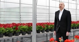 Prezident Gəncədə açılış etdi – Foto